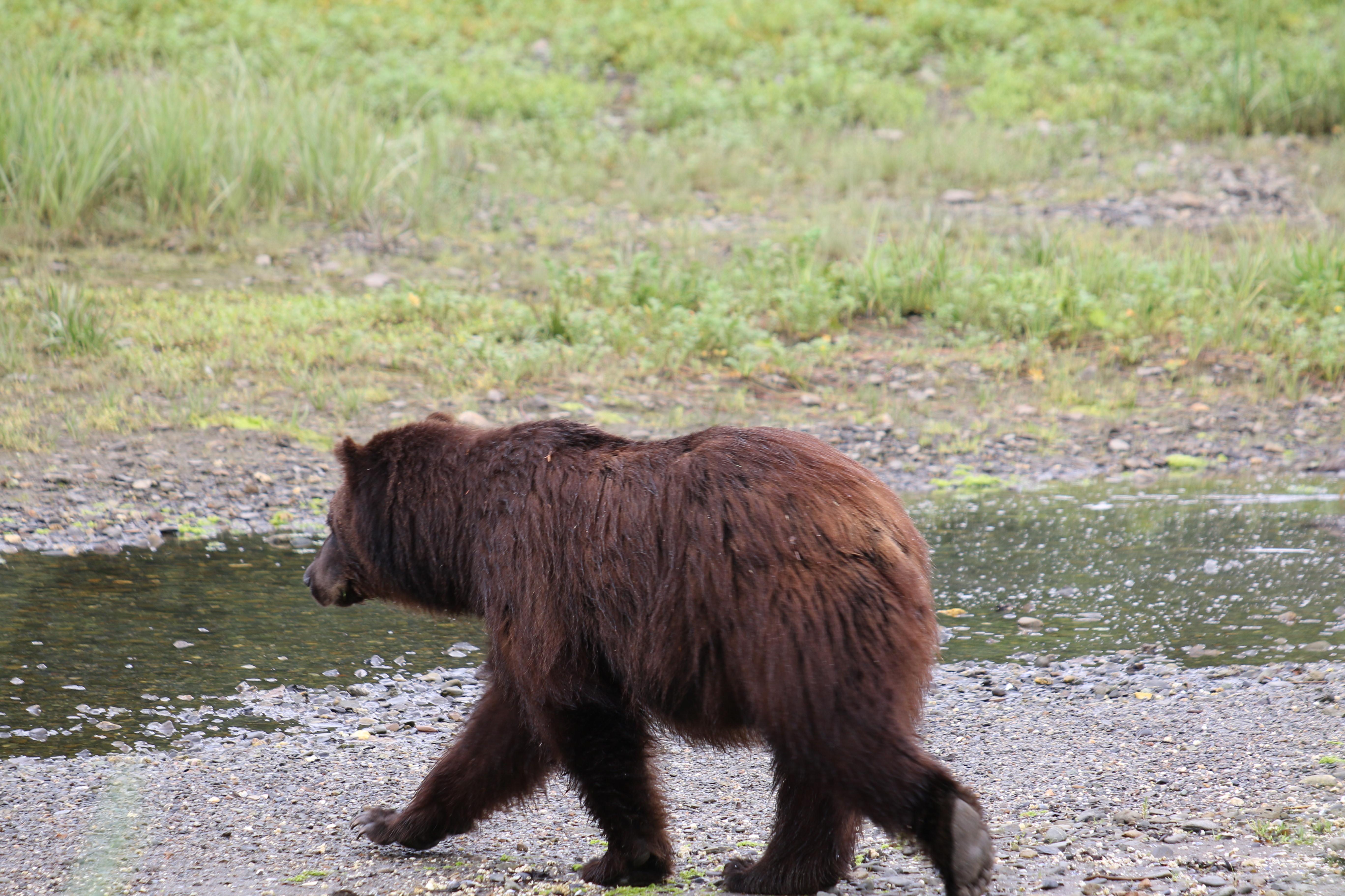 Alaska